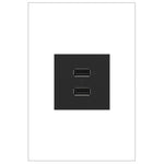 Legrand-ARUSB2AA6G4|MAIN