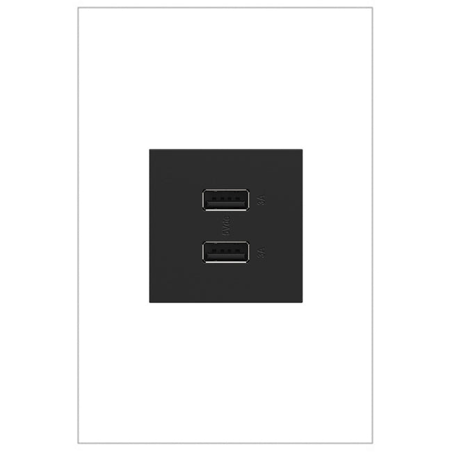 Legrand-ARUSB2AA6G4|MAIN