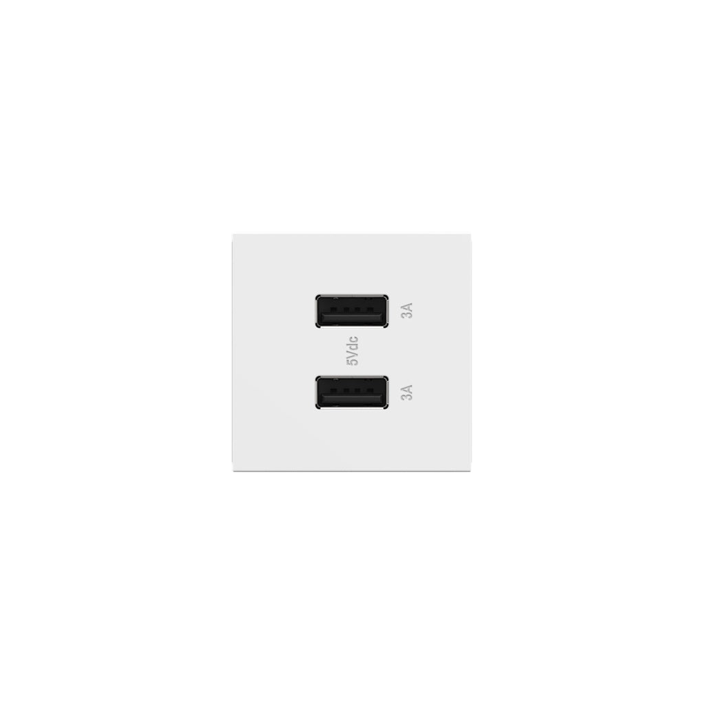 Legrand-ARUSB2AA6W4|ALT|2