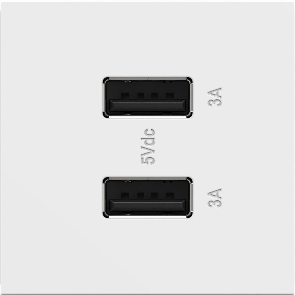 Legrand-ARUSB2AA6W4|ALT|4