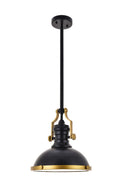 Eamon Pendant by Elegant Lighting