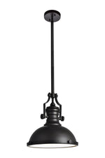 Elegant Lighting-LD5001D13ORB|MAIN