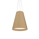 Conical Outdoor (Damp) Pendant by Accord Lighting
