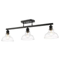 Carver Outdoor (Damp) Semi-Flush Mount Rail Mounted Ceiling Light by Golden