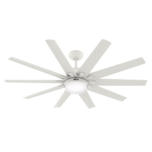Overton Outdoor (Damp) Ceiling Fan with Light by Hunter