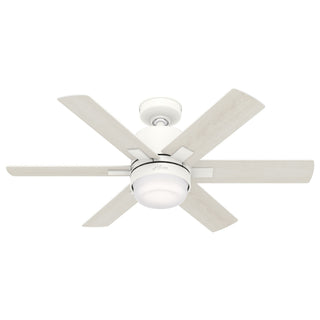 Radeon Ceiling Fan with Light by Hunter