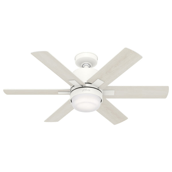 Radeon Ceiling Fan with Light by Hunter