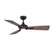 Oil Rubbed Bronze/Barn Wood Finish with Barn Wood Blades