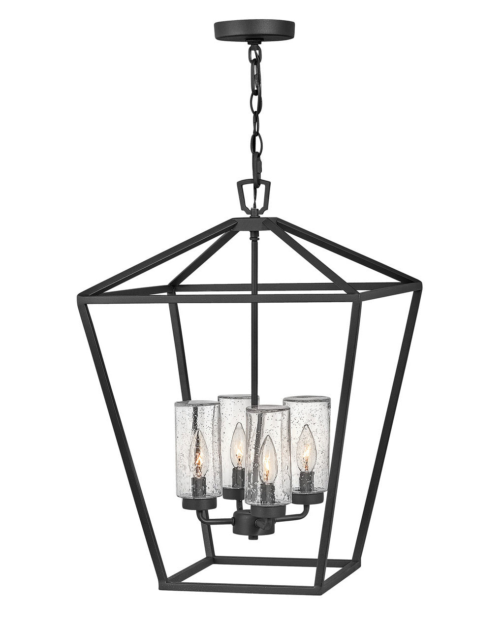 Alford Place Outdoor (Wet) Hanging Lanterns by Hinkley