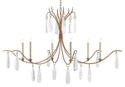 Marshallia Collection Chandelier by Currey and Company