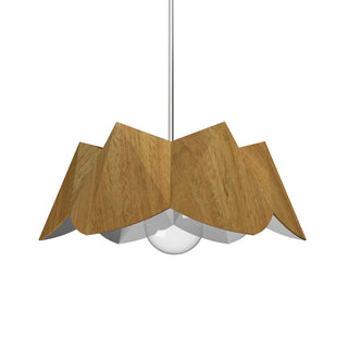 Buy louro-freijo-and-amber-brown-shade Physalis Outdoor (Damp) Pendant by Accord Lighting