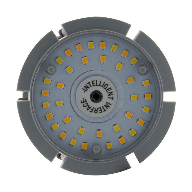 Satco-S13142|ALT|3