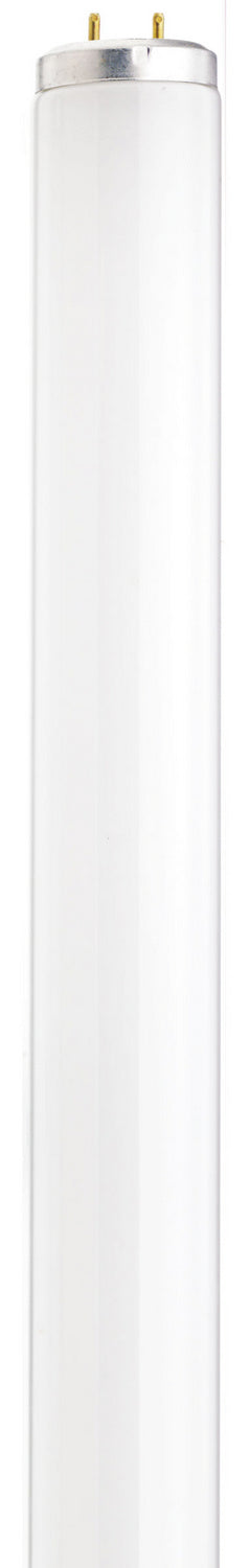 Tubular 40 Watt G13 T12 120V Fluorescent 5000k Light Bulb by Satco