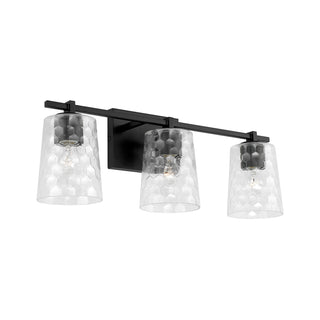 Buy matte-black-with-clear-honeycomb-glass-glass-and-clear-shade Burke Vanity by Capital Lighting