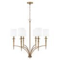 Abbie Chandelier by Capital Lighting