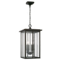 Barrett Outdoor (Damp) Hanging Lantern by Capital Lighting
