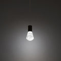 Plum Mini Pendant by Modern Forms