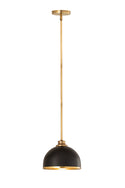Landry Pendant by Z-Lite