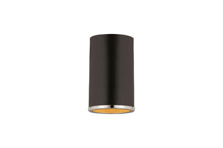 Buy matte-black-chrome-with-matte-black-glass Arlo Outdoor (Damp) Flush Mount Ceiling Light by Z-Lite