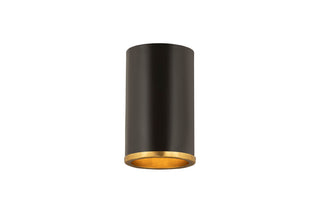Buy matte-black-rubbed-brass Arlo Outdoor (Damp) Flush Mount Light by Z-Lite
