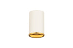 Z-Lite-2303F1-MW-RB|MAIN