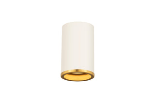 Buy matte-white-rubbed-brass Arlo Outdoor (Damp) Flush Mount Light by Z-Lite