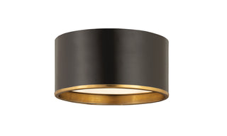 Buy matte-black-rubbed-brass Arlo Outdoor (Damp) Flush Mount Ceiling Light by Z-Lite