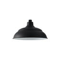 RLM Outdoor (Wet) Wall Lantern by Capital Lighting
