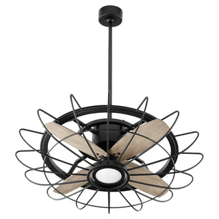 Mira Outdoor (Damp) Ceiling Fan with Light by Quorum
