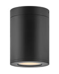Silo Outdoor (Damp) Flush Mount Ceiling Light by Hinkley