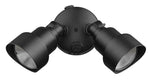 Acclaim Lighting-LFL2BK|MAIN