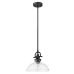 Acclaim Lighting-IN21147BK|MAIN