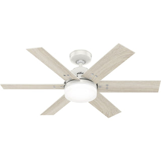 Pacer Ceiling Fan with Light by Hunter