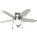 Lilliana Ceiling Fan with Light by Hunter
