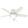 Lilliana Ceiling Fan with Light by Hunter