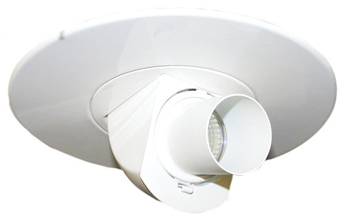 6" Adjustable Spot W/Snoot Accessory by Elco Lighting