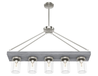 Buy brushed-nickel-with-clear-glass-and-clear-shade Devon Park Chandelier by Hunter