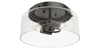 Buy noble-bronze-with-seeded-glass-and-clear-seedy-shade Hartland Flush Mount Ceiling Light by Hunter