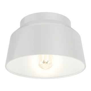 Cranbrook Flush Mount Ceiling Light by Hunter