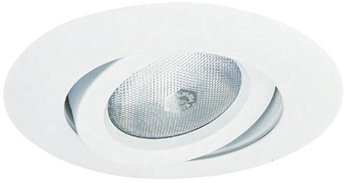 6" Gimbal Ring For Par30 W/Psa 27 Accessory by Elco Lighting