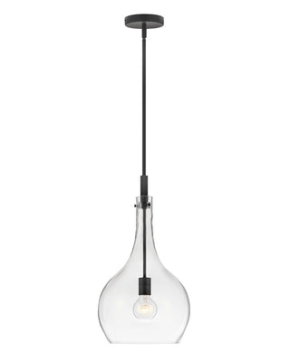 Buy black-with-clear-glass-and-clear-shade Ziggy Pendant by Hinkley