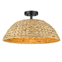 Rue Outdoor (Damp) Semi Flush Mount Light by Golden