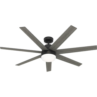 Buy matte-black-finish-with-matte-black-and-reversible-dark-gray-oak-blades Phenomenon Ceiling Fan with Light by Hunter
