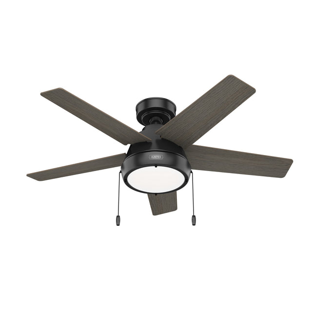 Burroughs Ceiling Fan with Light by Hunter