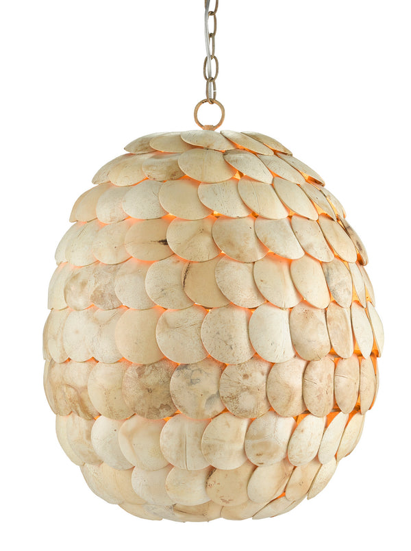 Buko Collection Pendant by Currey and Company