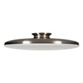 Skye Outdoor (Damp) Semi-Flush Mount Ceiling Light by AFX Lighting