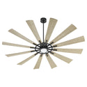 12-Blades Cirque Outdoor (Damp) Ceiling Fan by Quorum