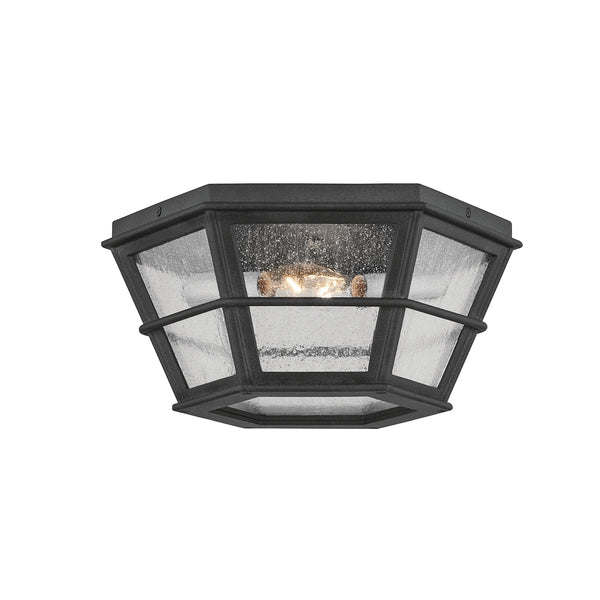 Lake County Outdoor (Damp) Flush Mount Light by Troy Lighting