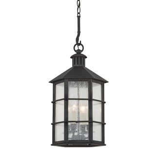 Lake County Outdoor (Damp) Hanging Lanterns by Troy Lighting