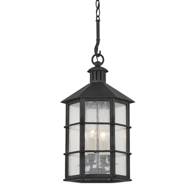 Lake County Outdoor (Damp) Lantern by Troy Lighting